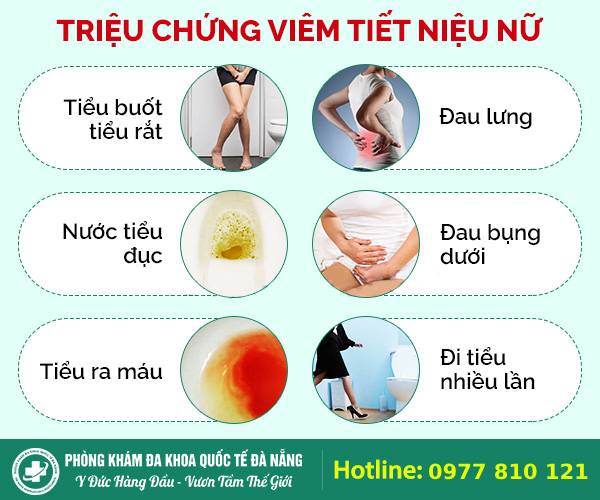 Dấu hiệu viêm đường tiết niệu ở nữ giới (1)